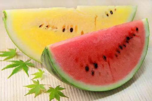 娱乐吃瓜酱属于什么